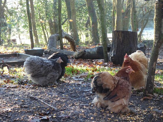 Rêver Réalité-Champeaux必去景点