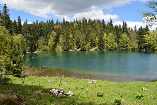 Zabojsko Lake-Mojkovac必去景点