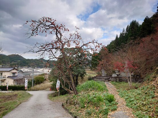 Goryo Momiji-中津市必去景点