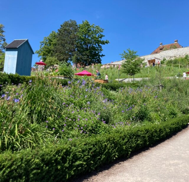 Landesgartenschau Überlingen景点图片