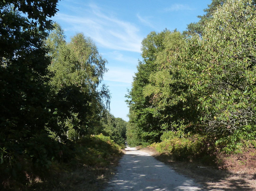 Belvédère Des Caillettes-Nibelle必去景点