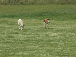 The Clarens Golf Estate-克拉伦斯必去景点
