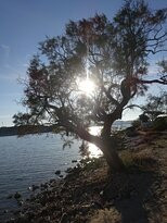 Agia Irini Beach景点图片