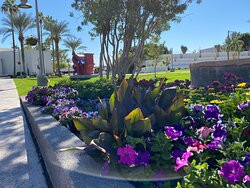 Electric Bike Tours of Scottsdale-斯科茨代尔必去景点