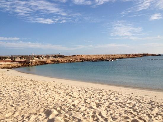 Turtle Beach-Al Hadd必去景点