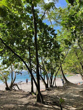 Anse Couleuvre-Le Precheur必去景点