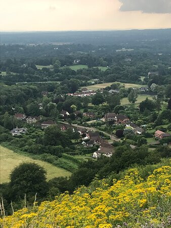 Reigate Hill景点图片