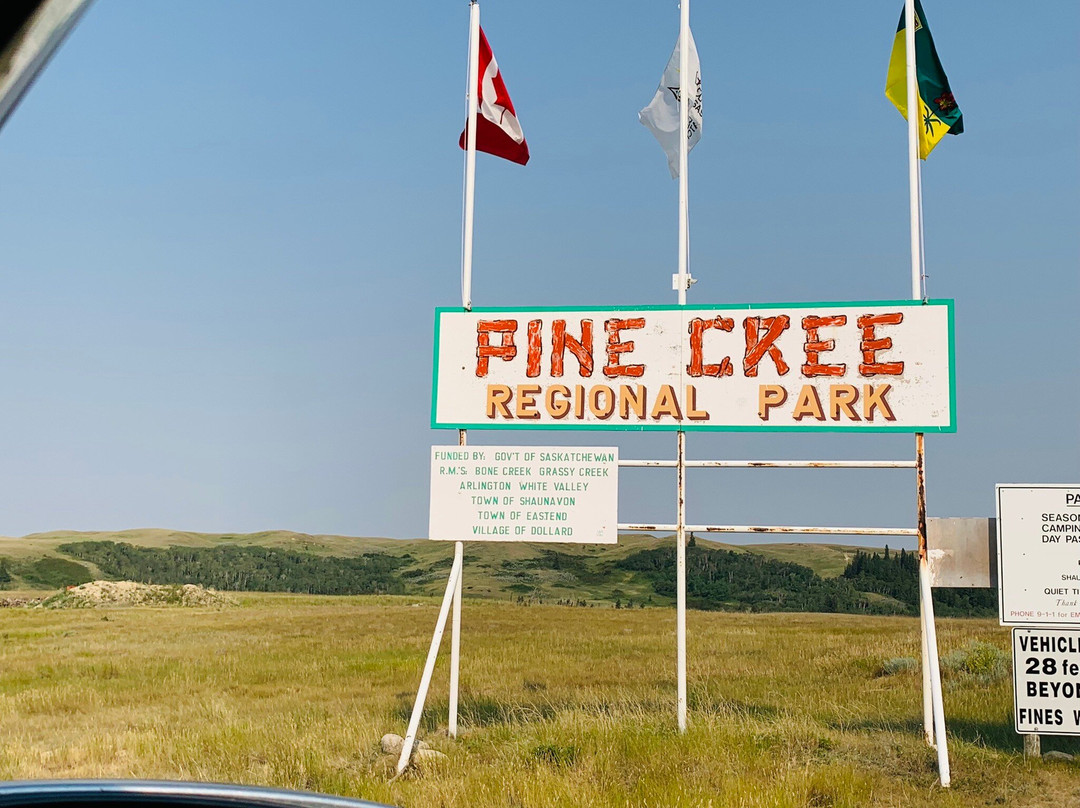 Pine Cree Regional Park景点图片
