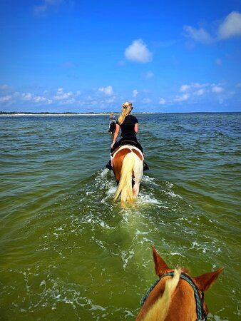 Outer Banks Riding Stables景点图片