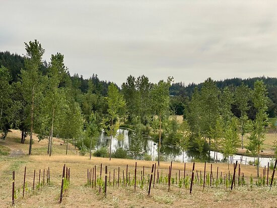 St. Innocent Winery-Jefferson必去景点