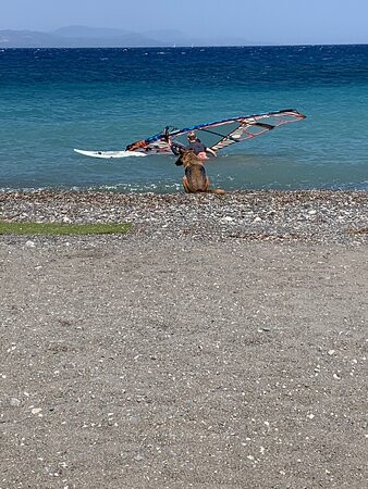 Windzone Surf Club-Kos Town必去景点
