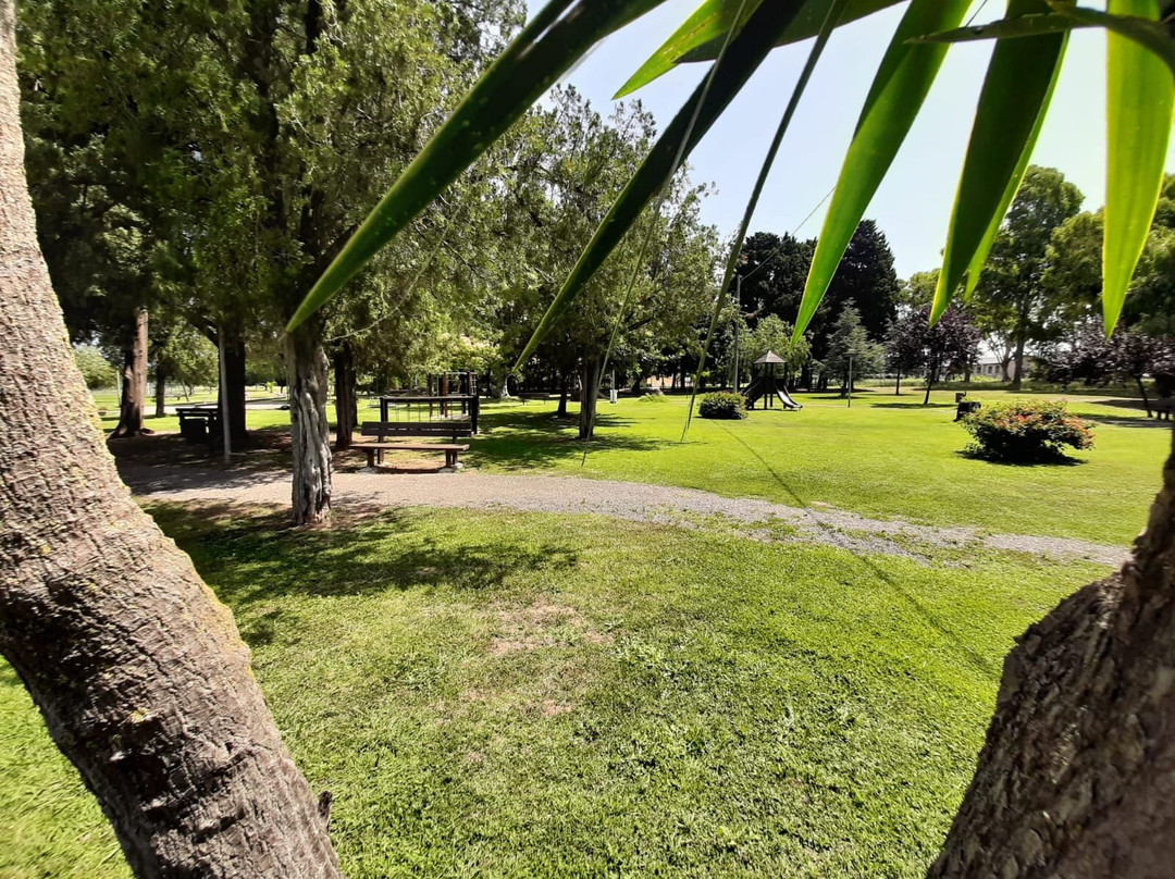 Parco Urbano di San Pietro Lametino景点图片