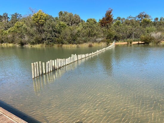 Greenbushes Pool景点图片