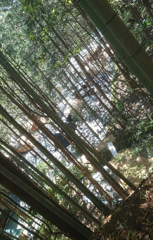 Fukushigawa Auto Campsite