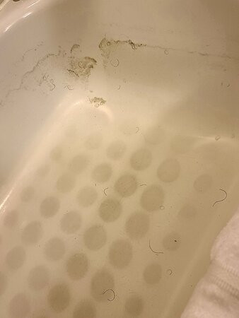 剑桥智选假日酒店主图