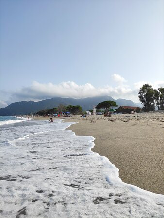 Spiaggia di Museddu景点图片