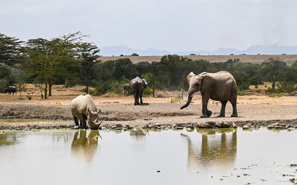 Discovery Expeditions & Adventures-内罗毕必去景点
