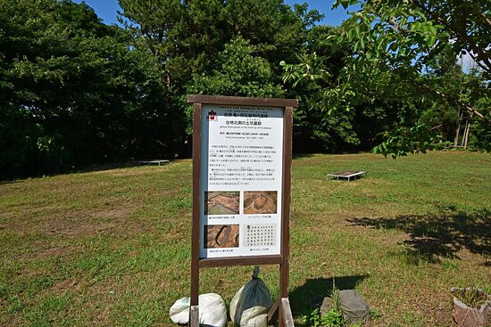 Kamegaoka Stone Age Era Historic Ruins景点图片