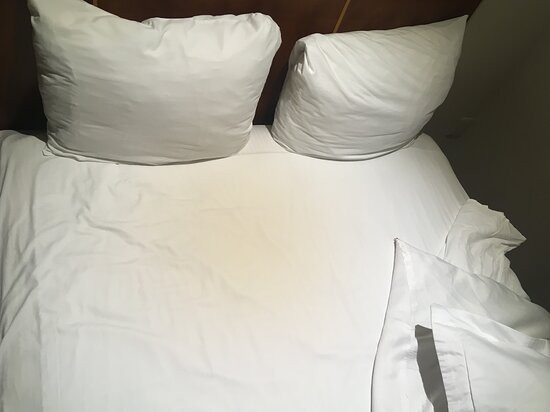 Camino Real Aeropuerto主图