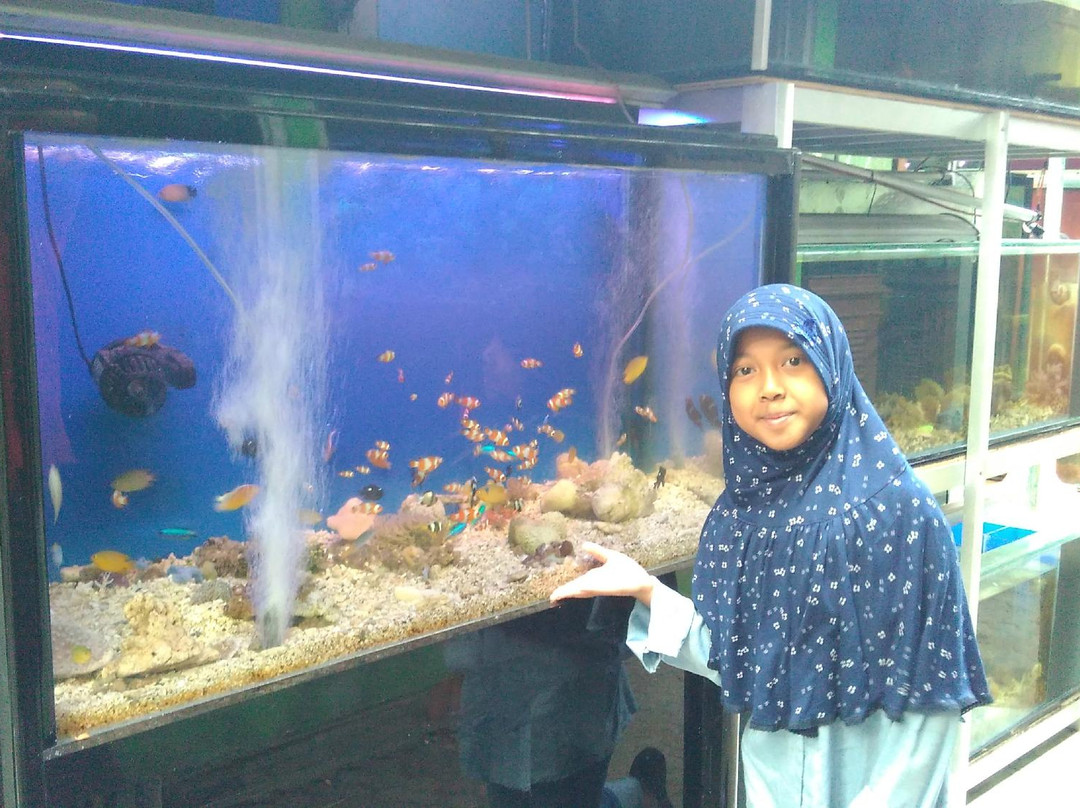 Pusat Promosi Ikan Hias Sumenep-雅加达必去景点