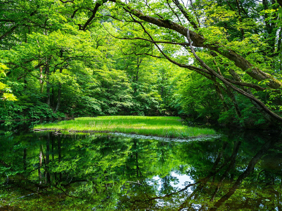 Otowa Pond-佐渡市必去景点