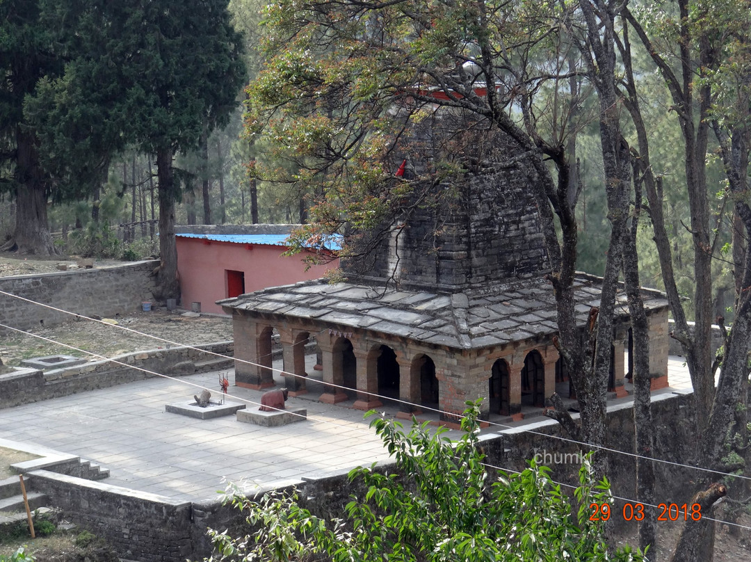 Patal Devi Mandir景点图片