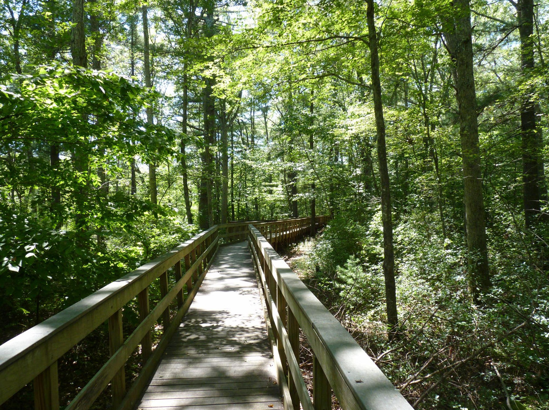 Hopkinton旅游攻略图片