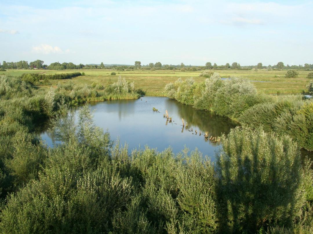 Aussichtsturm Linteler Weiden景点图片