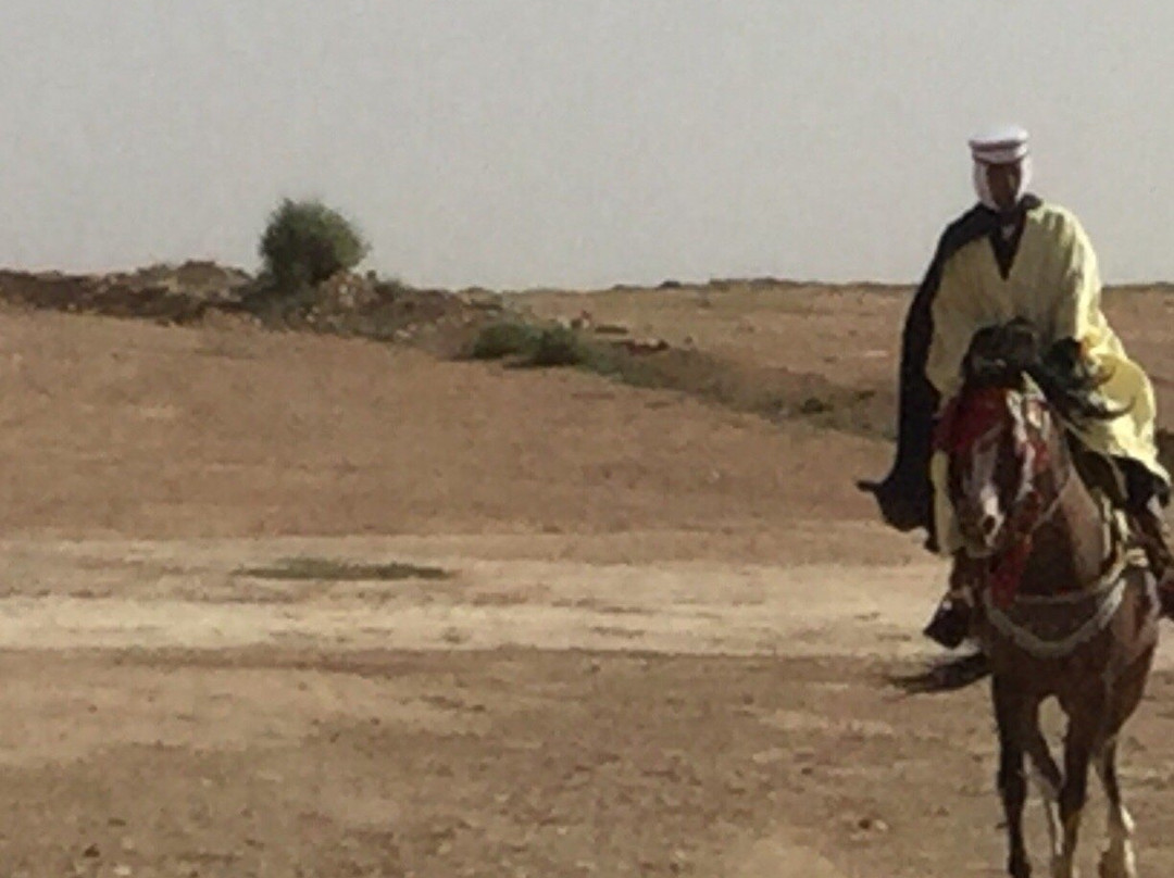 Tiaret Province旅游攻略图片