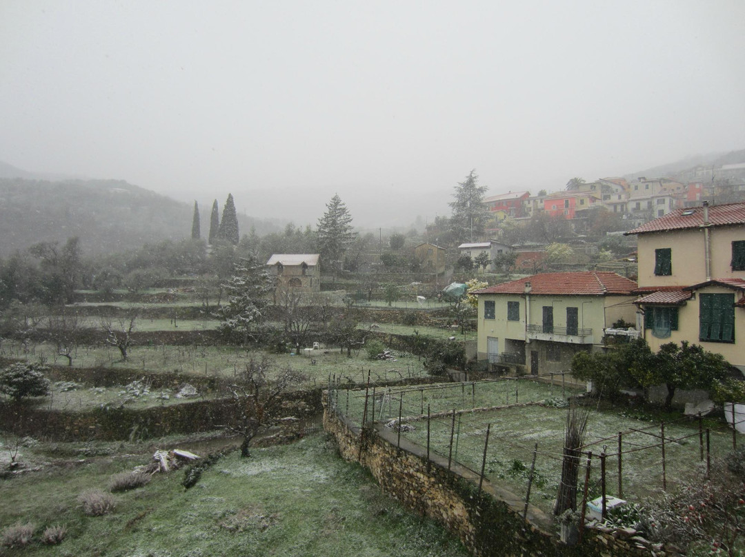 Pontedassio旅游攻略图片