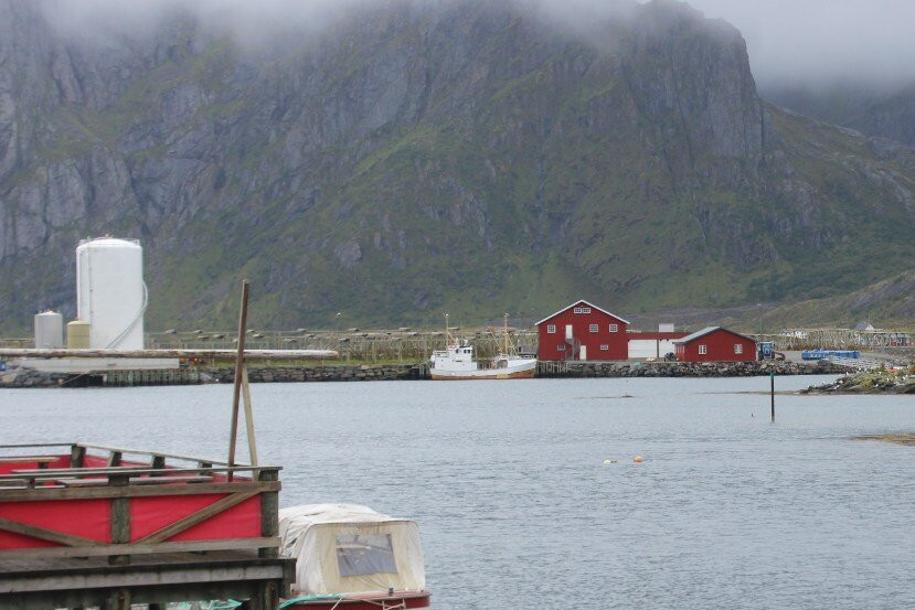 Blomsterøya景点图片