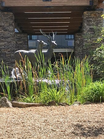 La Quinta Inn & Suites by Wyndham Boone University主图