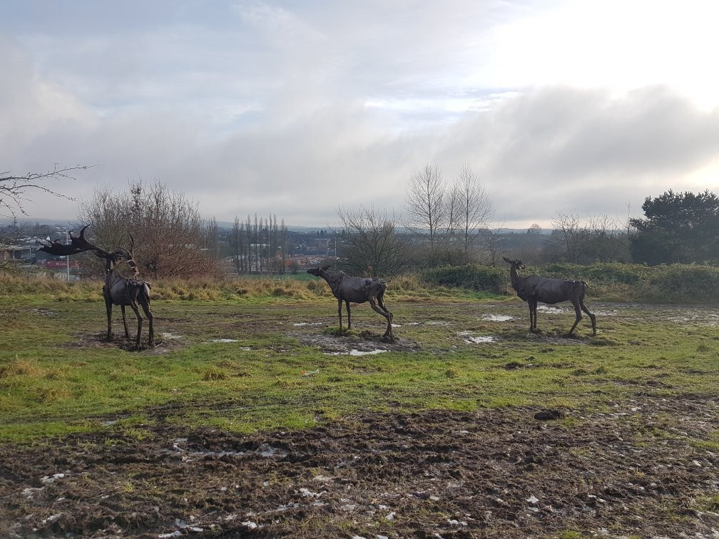 Snibston Colliery Country Park景点图片