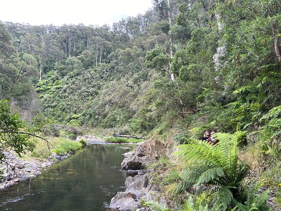 Horseshoe Bend Tunnel-Walhalla必去景点