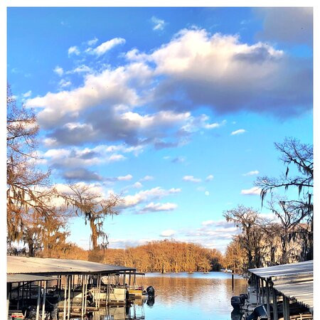 Caddo Lake Tours and Canoe Rentals-Uncertain必去景点