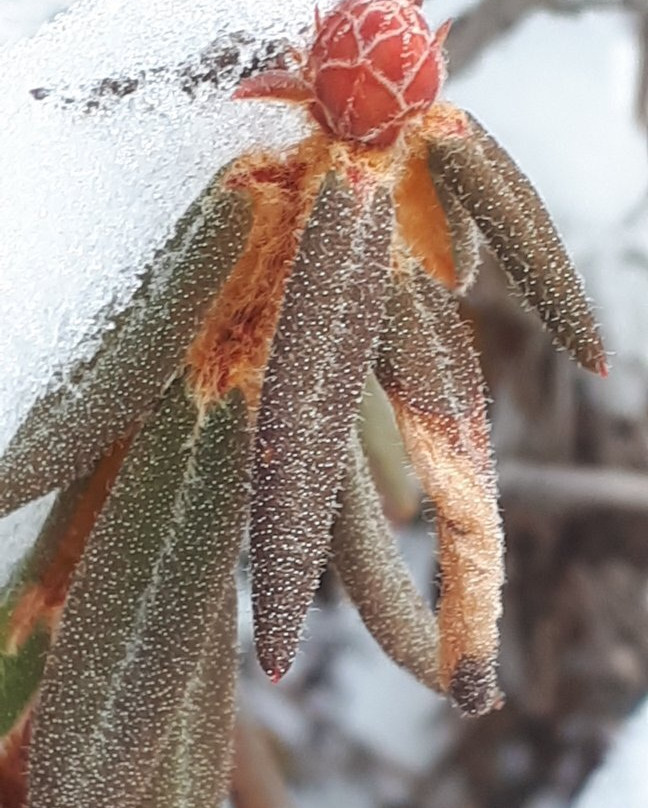 Whiteshell Provincial Park-Whiteshell Provincial Park必去景点