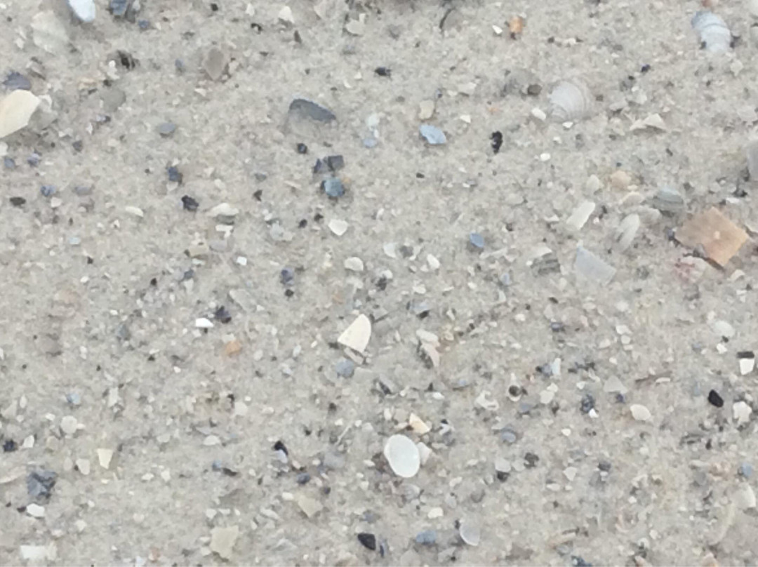 Orange Beach Welcome Center-橙色海湾必去景点