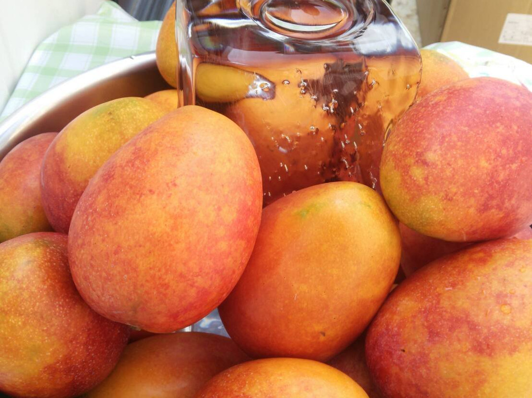 La Mangue Bleue-宫古岛市必去景点