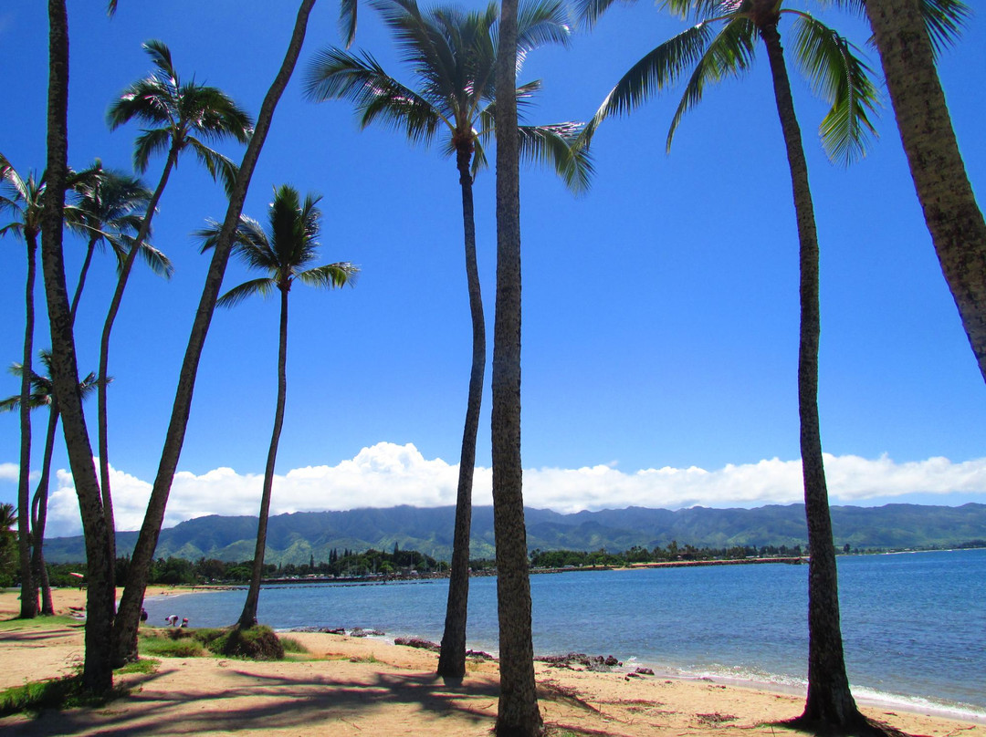 Waialua Bay景点图片