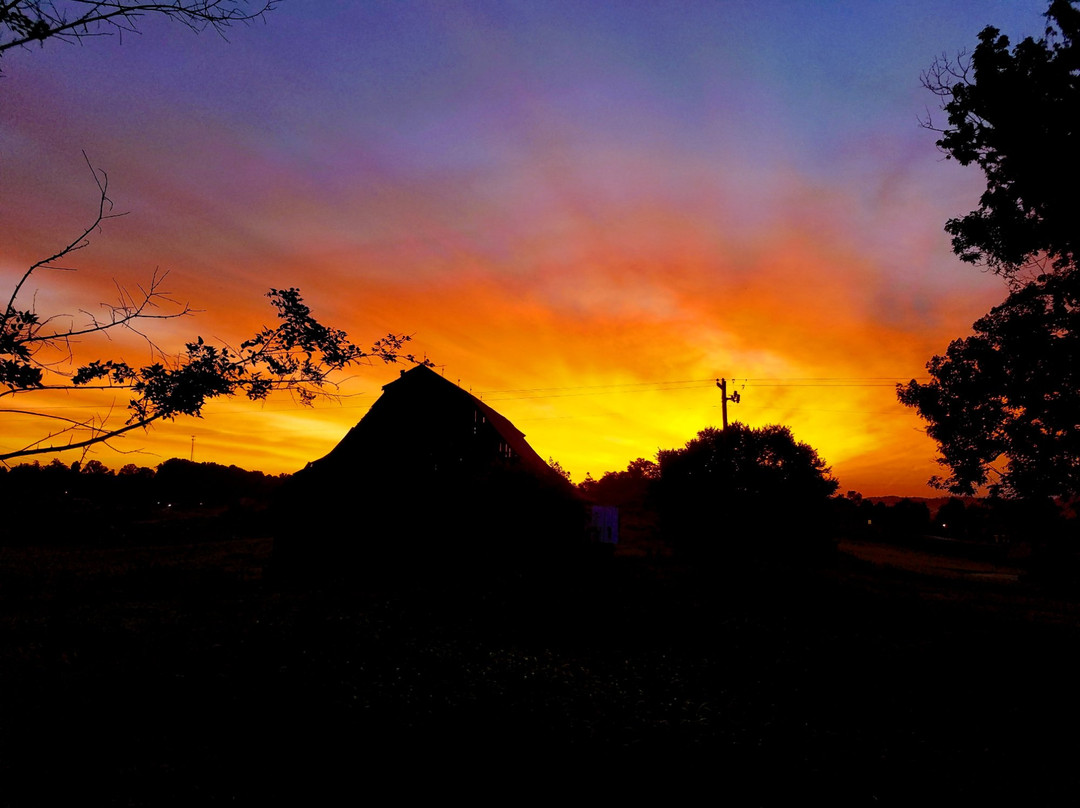 Piney Flats旅游攻略图片