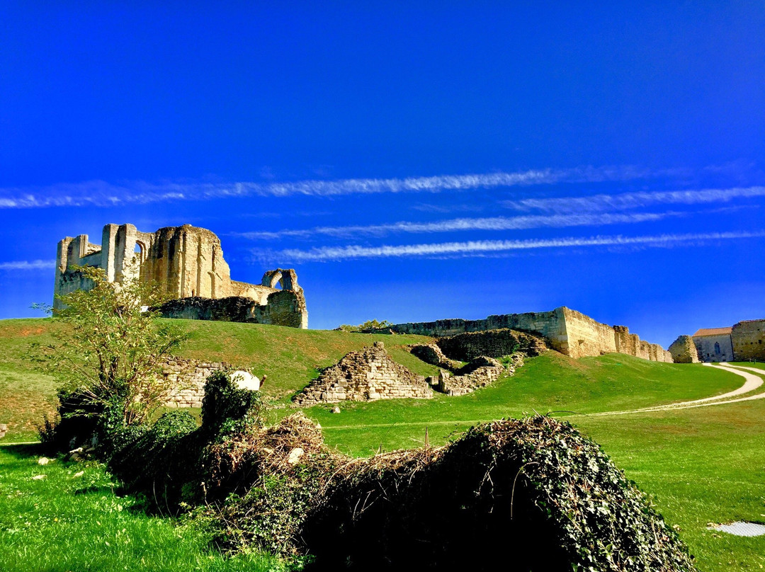 Maillezais旅游攻略图片