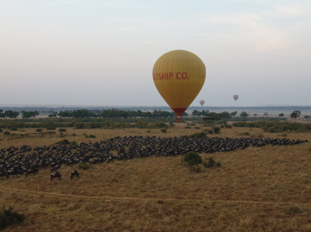 Skyship Co. Balloon Safaris景点图片