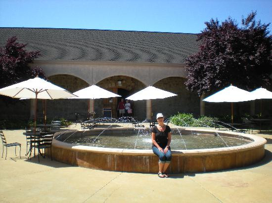 Sebastiani Vineyards and Winery景点图片