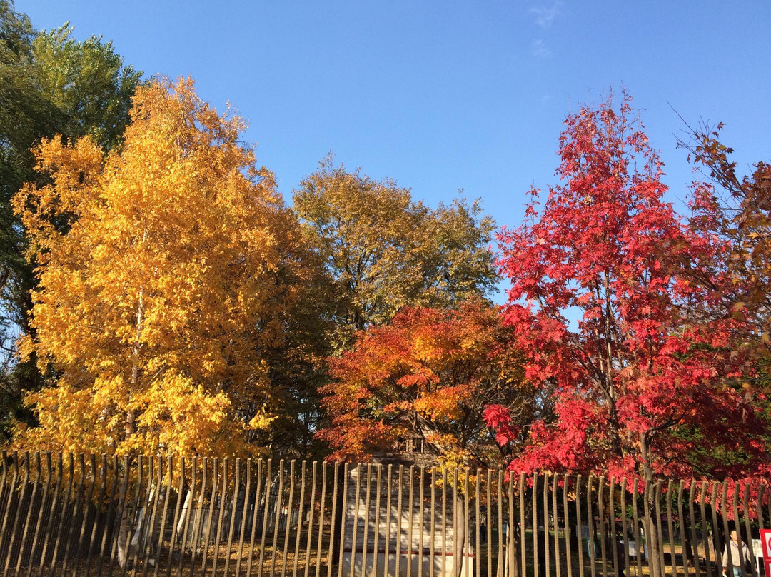 北海道大学农学部第二农场-札幌市必去景点