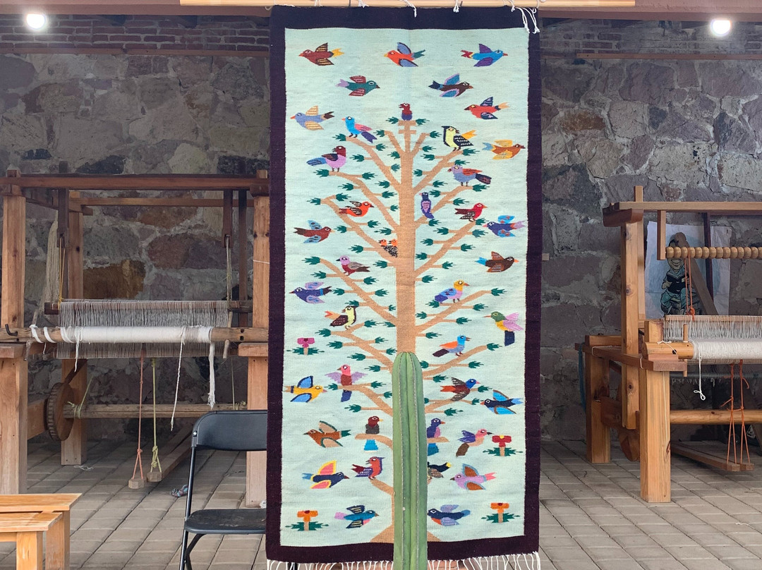 Mexplorer Adventures-瓦哈卡必去景点