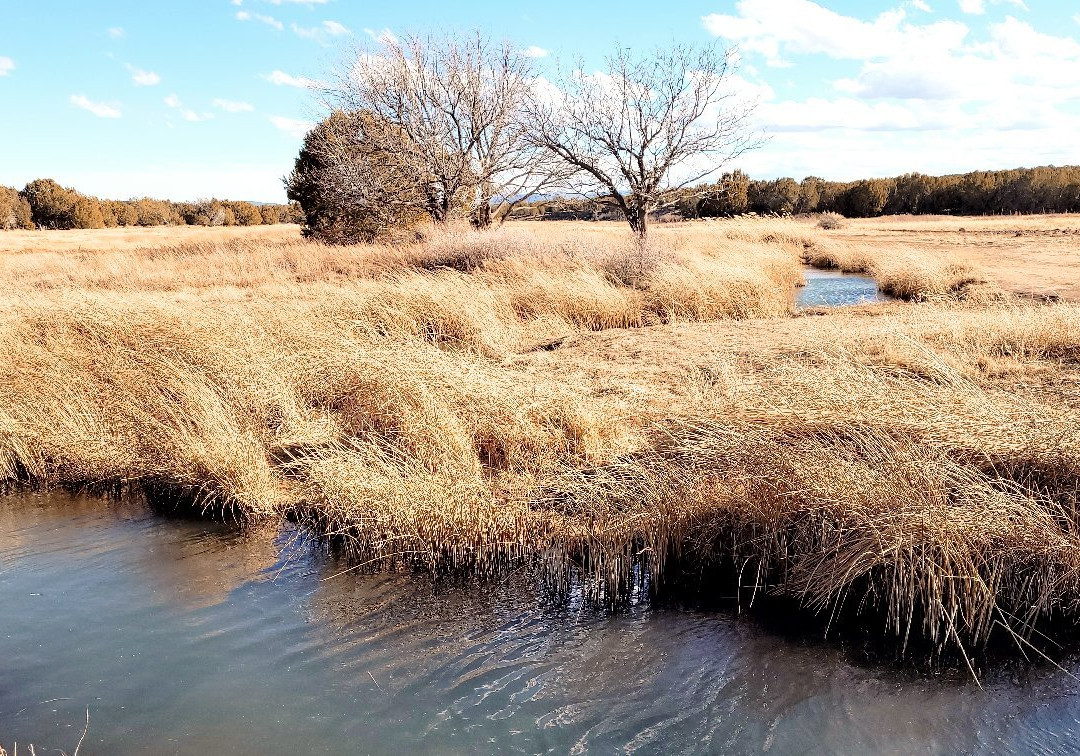 Silver Creek Fish Hatchery景点图片