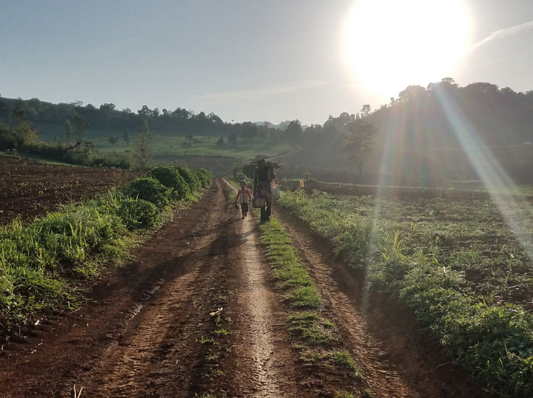 New Force Hsipaw Trekking-西保必去景点