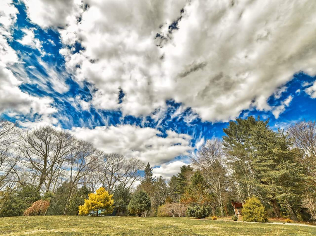 Ayer旅游景点-Farandnear Reservation