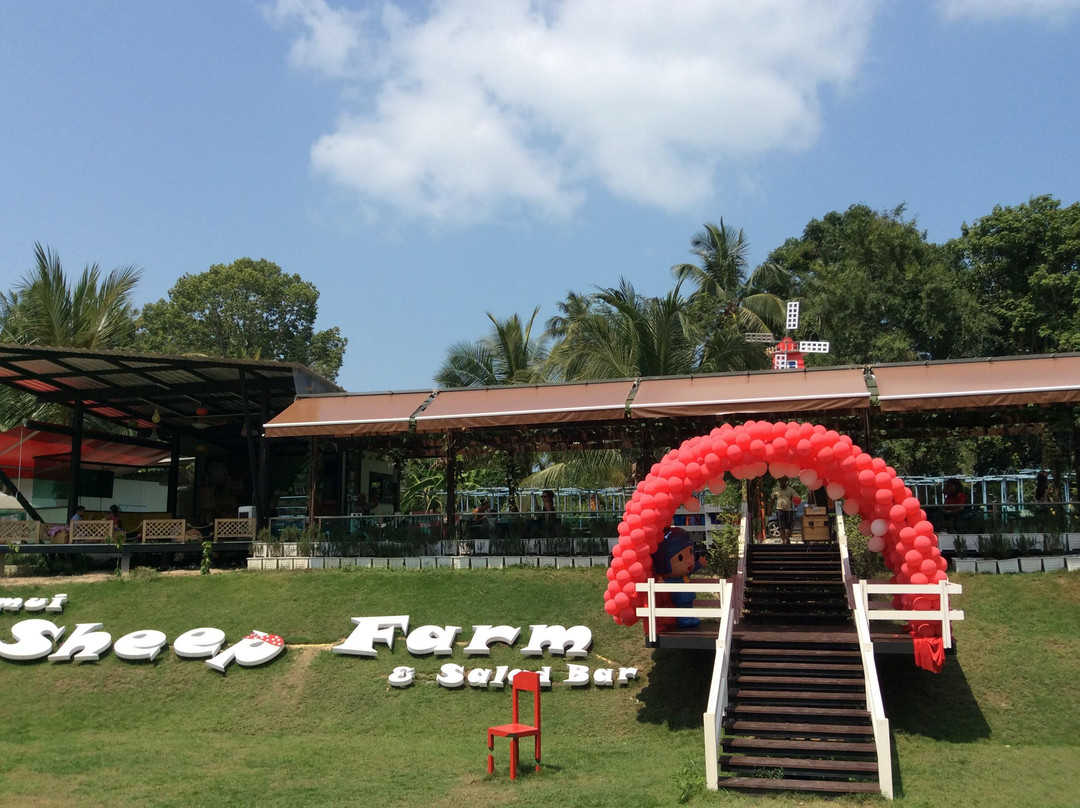 Samui Sheep Farm & Salad Bar景点图片