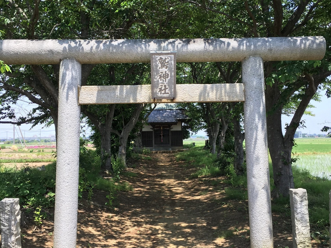 Washi Shrine景点图片